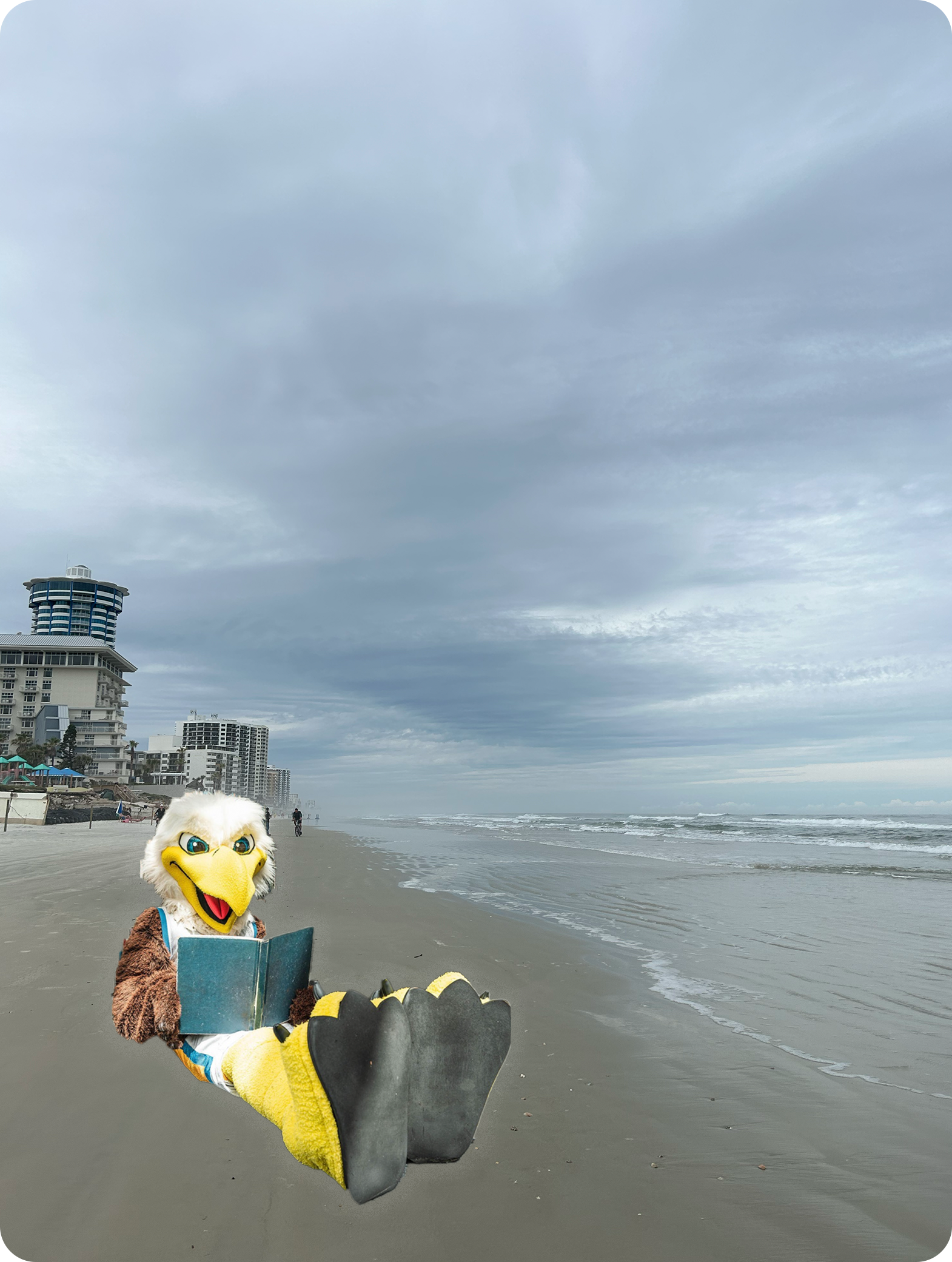 a picture of an eagle mascot reading on the beach