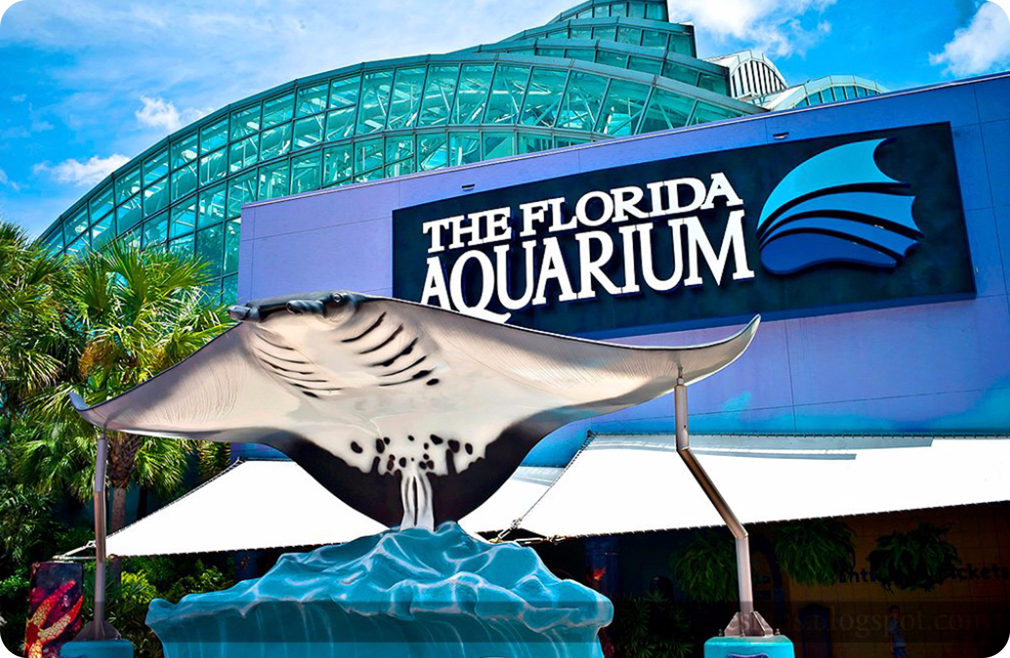 image of the florida aquarium