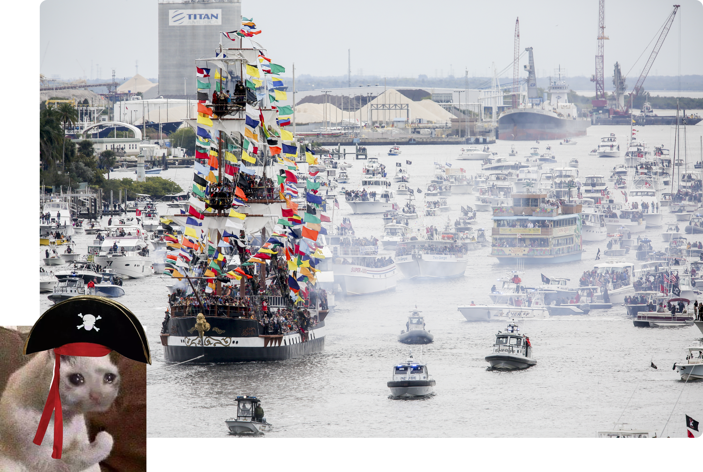 image of a cat with a pirate hat on in front of pirate boats intampa florida
